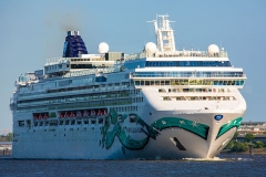 Norwegian Jade_C4634
