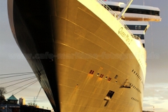 QM 2_8636