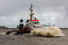 Bugsier 14_7891