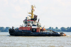 Bugsier 9_D9645