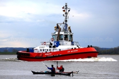 ZP_Boxer_0391