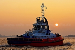 ZP_Boxer_6916