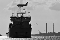 AlexanderVonHumboldt-0213