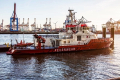 Branddirektor Westphal_E1091