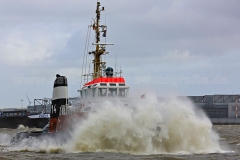 Bugsier14_7889
